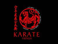 Karate Esencja